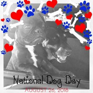 Meet your Posher, Hervin